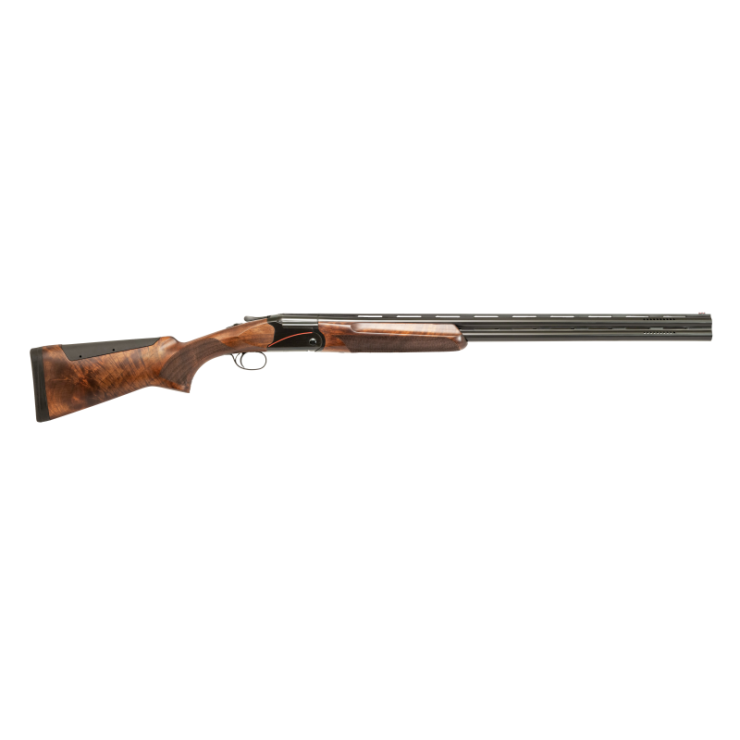 Setter Premium Sporting
